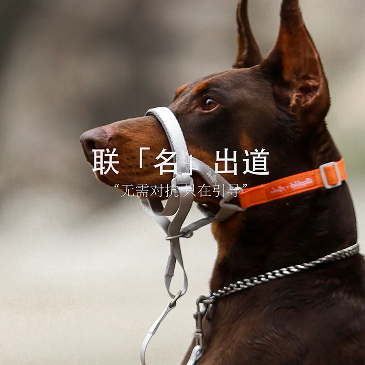 巴克一家xdogkids联名款嘴牵