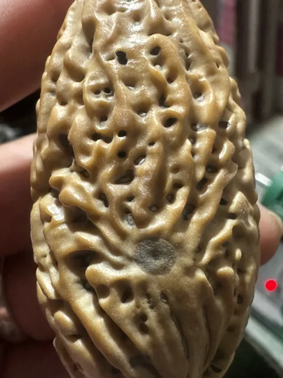千眼菩提老料刷果直播间选果现场加工手把件手工艺仿古精美解压