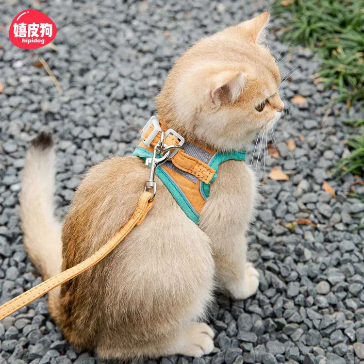 宠物狗狗猫咪胸背牵引绳背心式狗绳遛猫防挣脱狗链猫咪外出绳6047