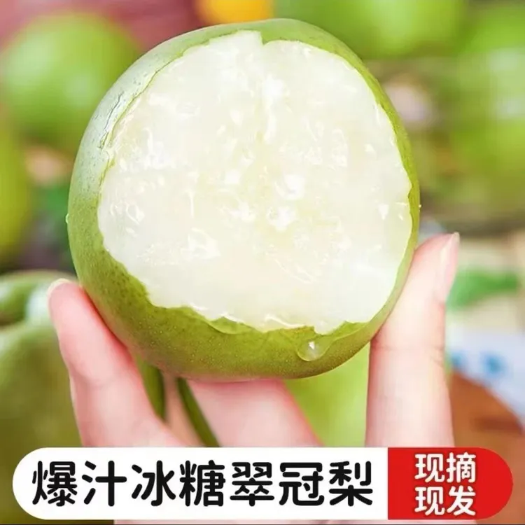 【安徽砀山梨】砀山酥梨 爆甜青皮蜜梨 现摘现发翠冠梨新鲜采摘