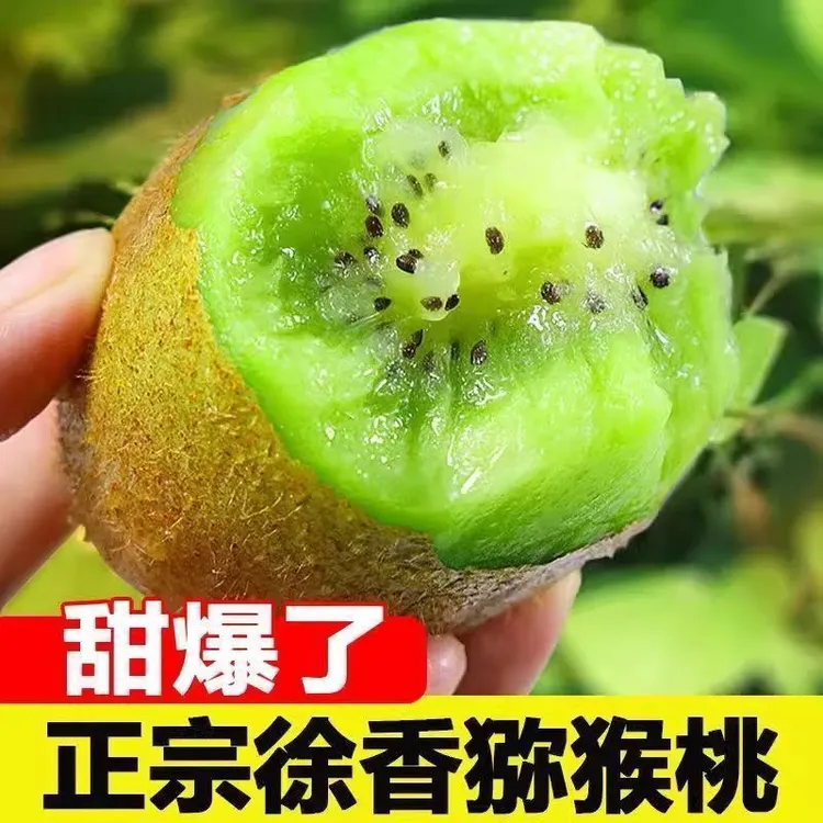 【小柠檬专属】周至徐香猕猴桃新鲜奇异果当季现摘水果鲜嫩多汁弥猴桃-小柠檬