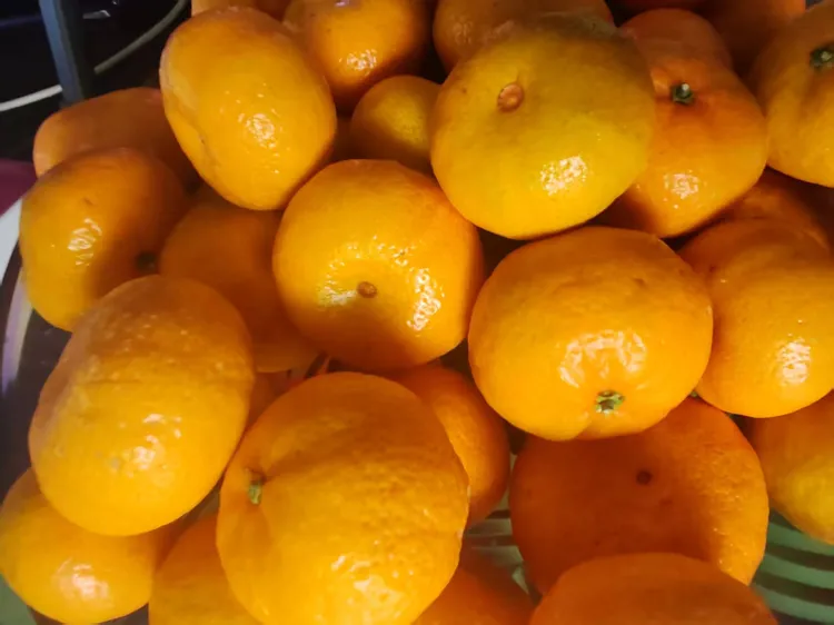 南丰蜜桔，中国蜜桔之乡，千年贡果，橘中之王,脆爽清甜