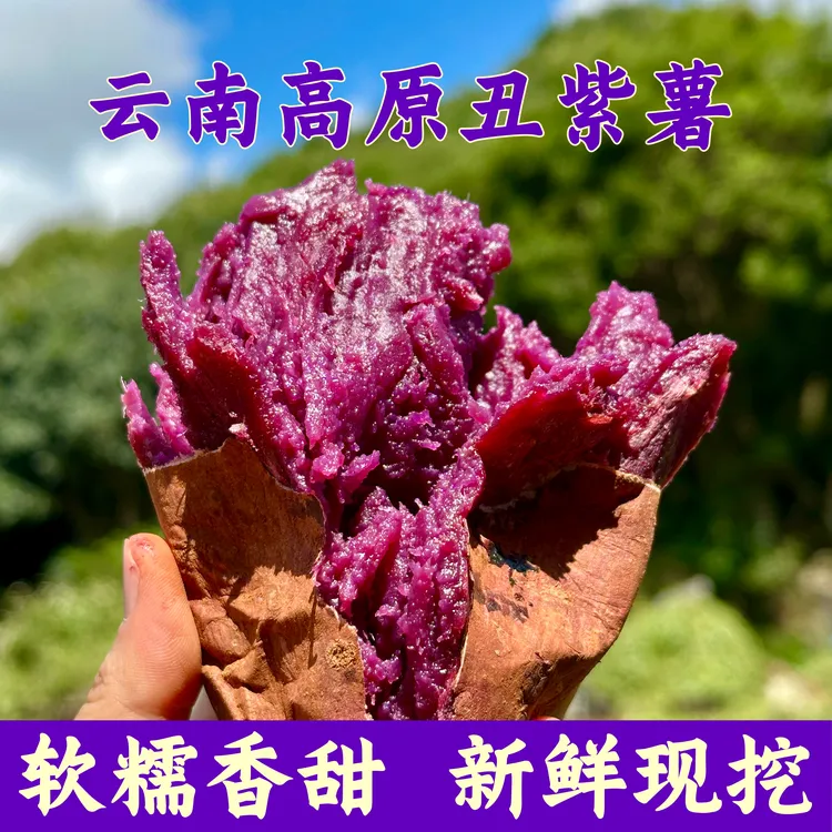 正宗云南高原火山岩【丑紫薯】新鲜现挖软糯香甜粗粮代餐