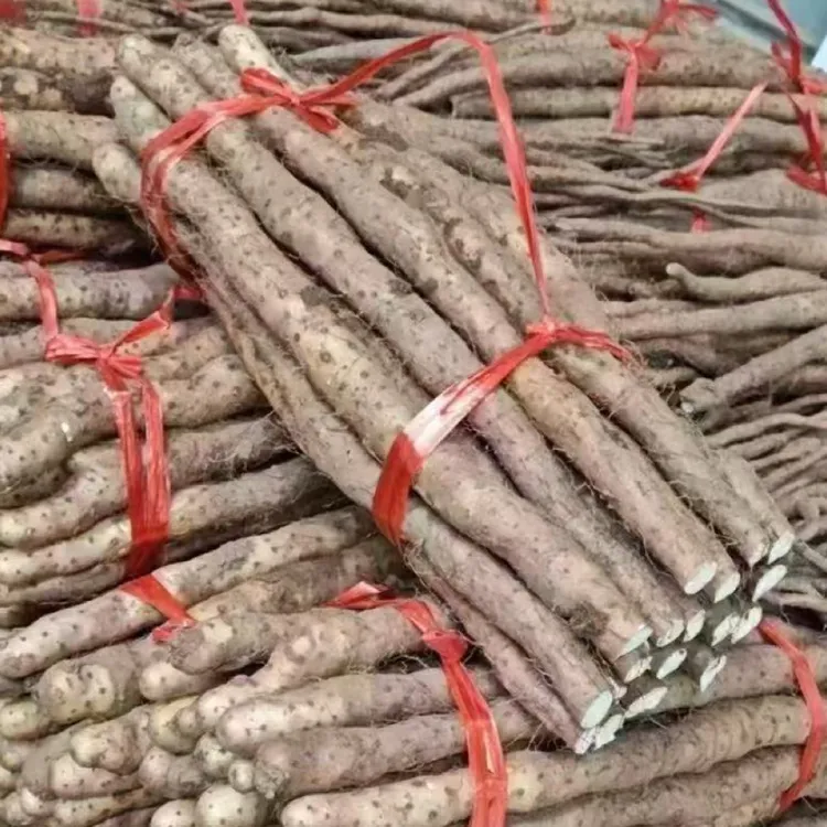 河南焦作温县正宗垆土铁棍山药现采现挖小果子福利五斤试吃装粉面