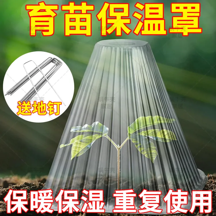 可重复使用加厚方形大棚植物钟罩免受鸟类霜冻伤害绿色育苗保护商品图