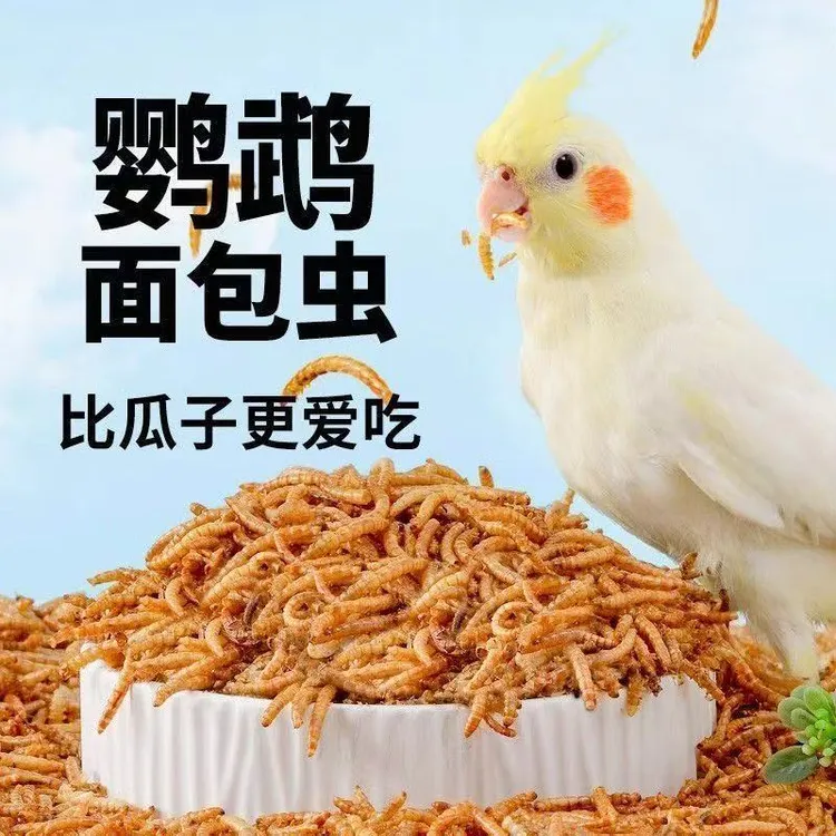 鹦鹉适用面包虫干奖励零食虎皮牡丹玄凤小太阳八哥鸟用品鸟粮饲料