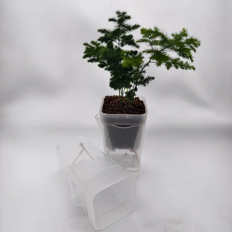 超迷你自吸透明刻度花盆（盆口5厘米）