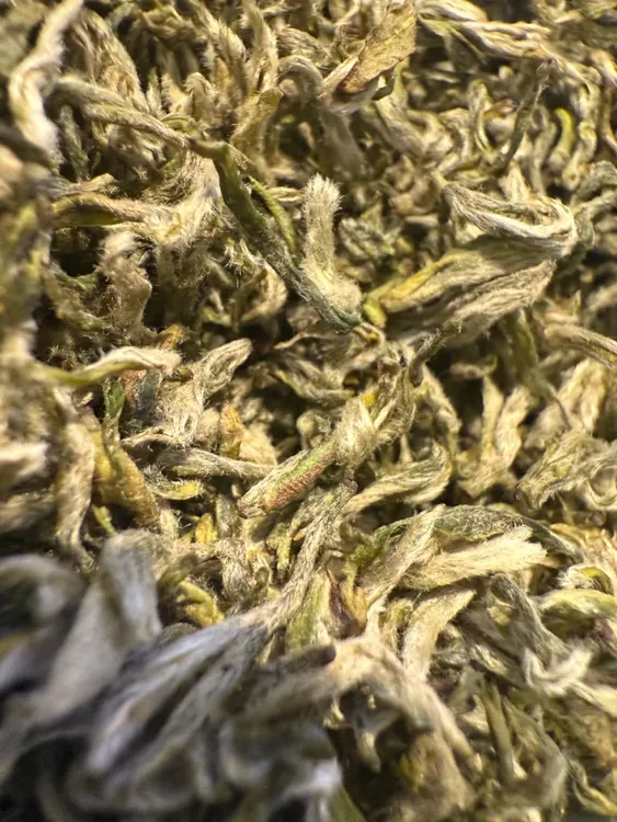 2025年明前绿茶  新茶  头春头采蒙顶甘露 60克