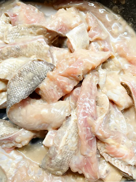 野钓鲶鱼饵料发酵臭鱼秘制饵料钓大口鲶胡子鲶塘鲺腥臭鱼饵江河