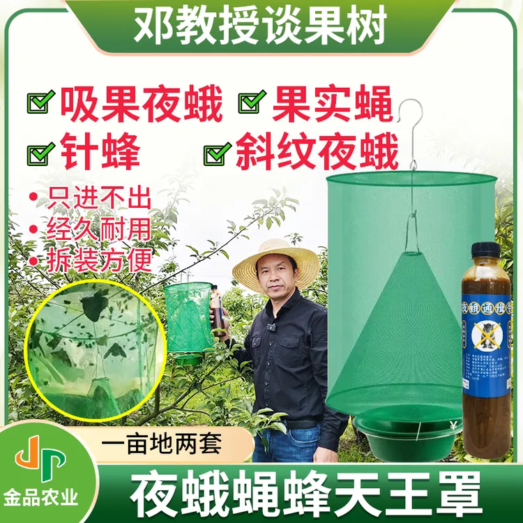 夜蛾蝇蜂天王罩吸果夜蛾诱捕器果园飞蛾陷阱诱捕器斜纹夜蛾室外