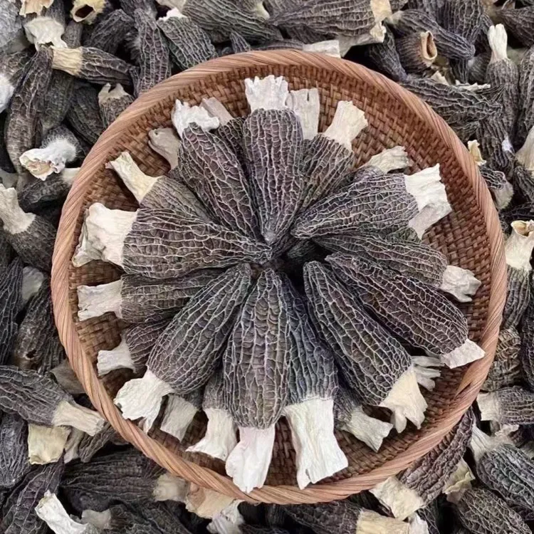 推荐特产羊肚菌干货