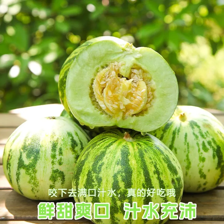 【顺丰包邮】花美人甜瓜当季新鲜水果脆瓜香瓜蜜瓜花蕾瓜整箱包邮