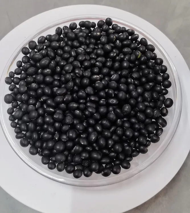 精选绿芯黑豆黑皮绿心可煮粥打豆浆的五谷杂粮