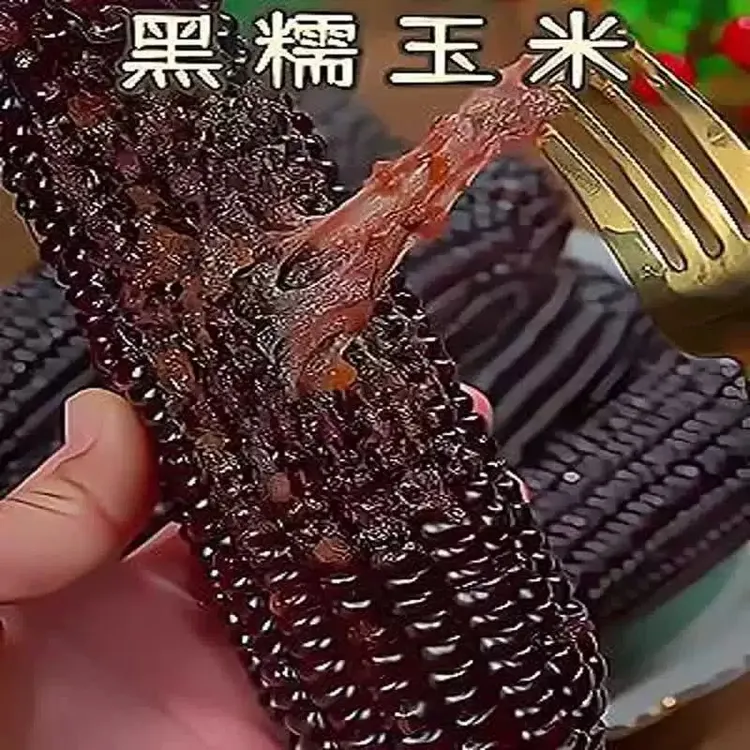 寿阳甜糯黑玉米粘糯玉米甜玉米甜糯玉米糯玉米新鲜真空装