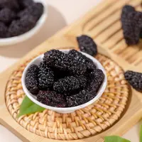 桑葚冻干脆脆桑葚干45g*