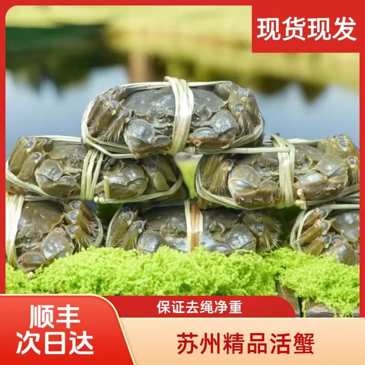 世上湖山【活蟹】江苏河蟹 1.4-1.7两 8只装全公(顺丰冷链次日达)