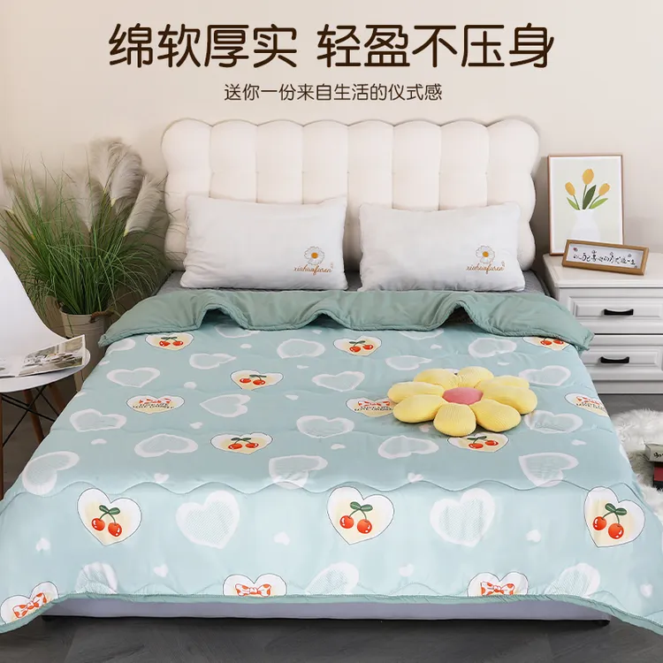 厚被子简约风加厚四季通用柔软舒适不压身可机洗学生宿舍秋冬保暖