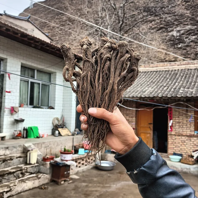 甘肃岷县原产地小条当归整根无硫熏可炖汤补气血250g—500g包邮