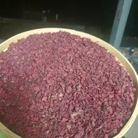 2【藏-血-灵-参-菇】净含量：250-1500g【小田现收】