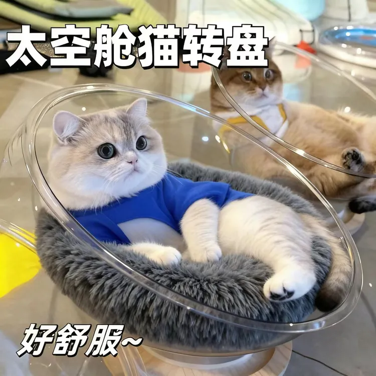 猫玩具窝棉垫太空舱猫窝小猫咪睡觉必备猫玩具床一体宠物用品猫窝冬款加厚保暖