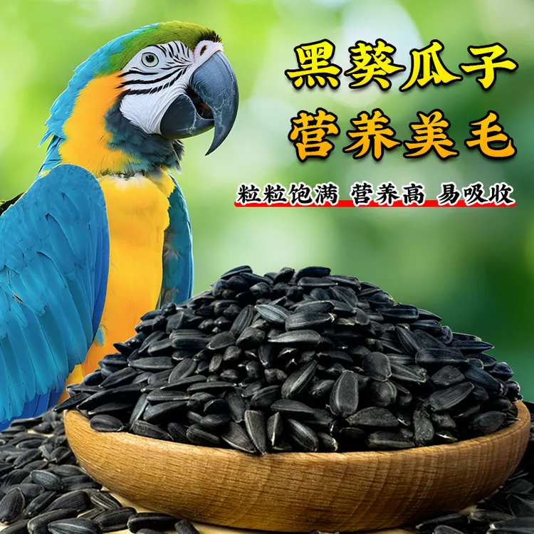 鹦鹉鸟粮饲料鸟食油葵小瓜子奖励零食鹦鹉玄凤虎皮牡丹专用鸟粮食