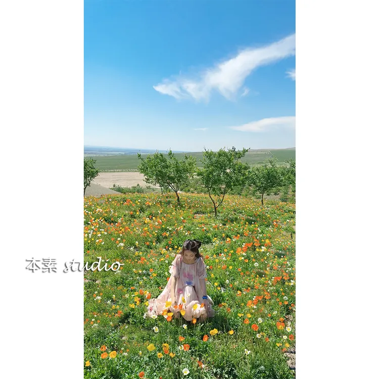 花海MNY2541印花荷叶边不规则方领短袖假两件连衣裙