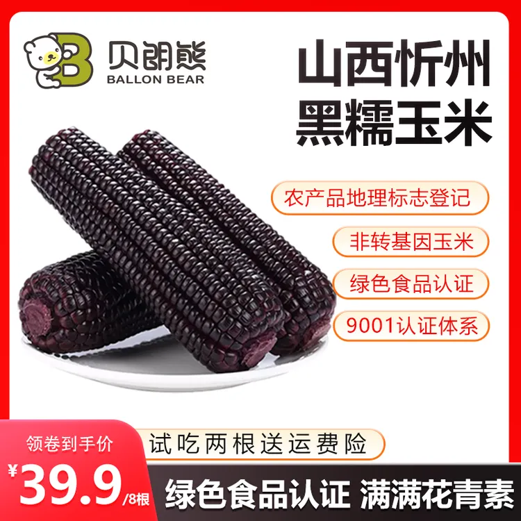 【清仓】【到手8根试吃2根】贝朗熊山西黑糯玉米25年头茬玉米含花青素