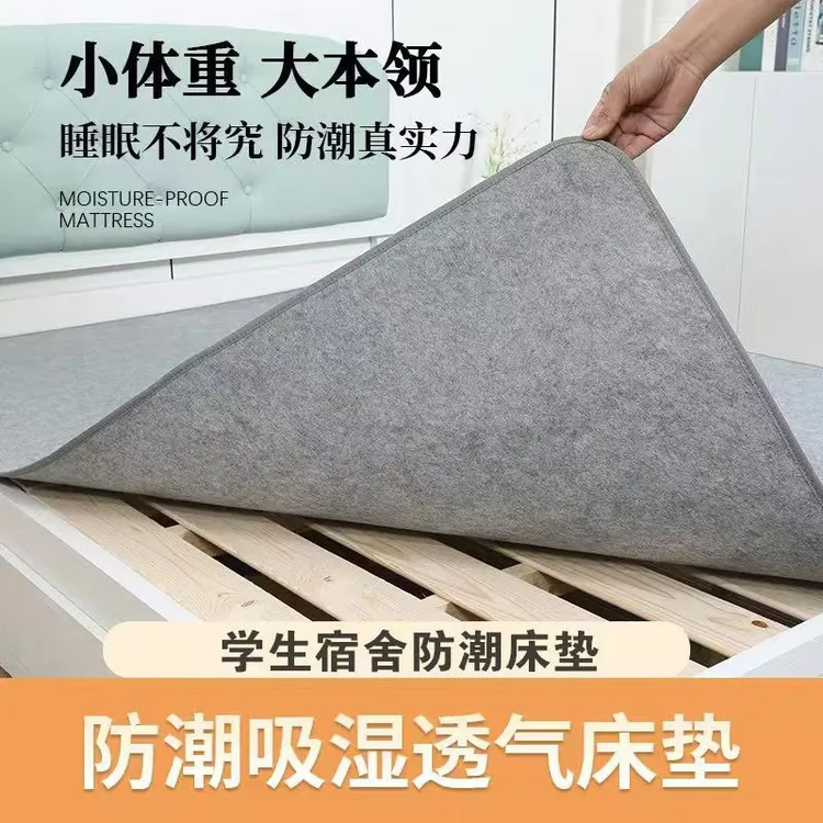 去湿气防霉防潮床垫床上用垫子学生宿舍专用榻榻米隔潮隔脏单人床