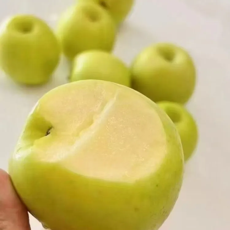 脆甜可口——庆阳当季新鲜瑞雪苹果，口感酥脆果肉细腻！