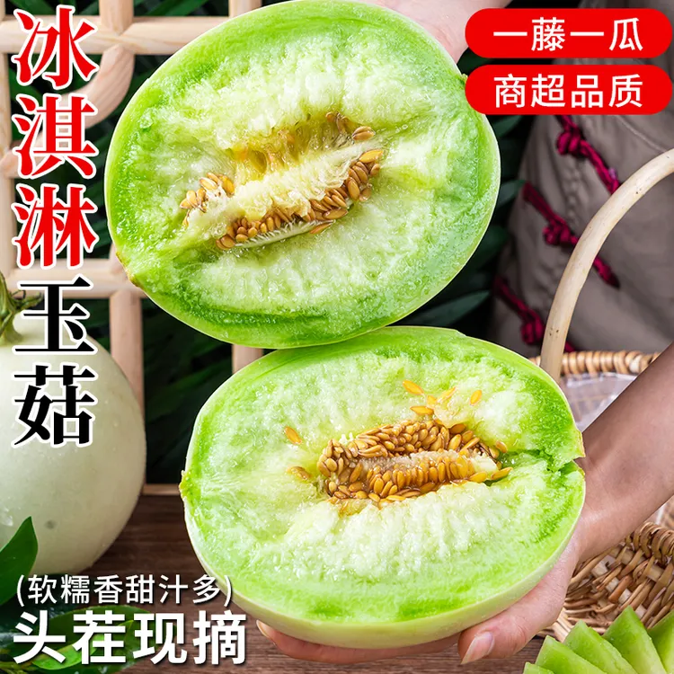 山东玉菇冰淇淋甜瓜正宗软糯香甜当季新鲜水果头茬大果白蜜甜香瓜