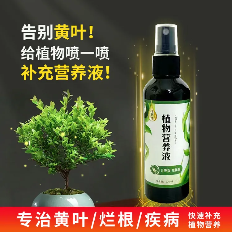 小叶赤楠爆叶专用营养液促绿叶壮秆针对掉叶发黄干枯矮小免稀释肥