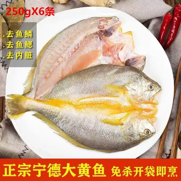 【250克6条】福建宁德霞浦黄鱼鲞大黄鱼黄花鱼冷冻免杀250g/条批发