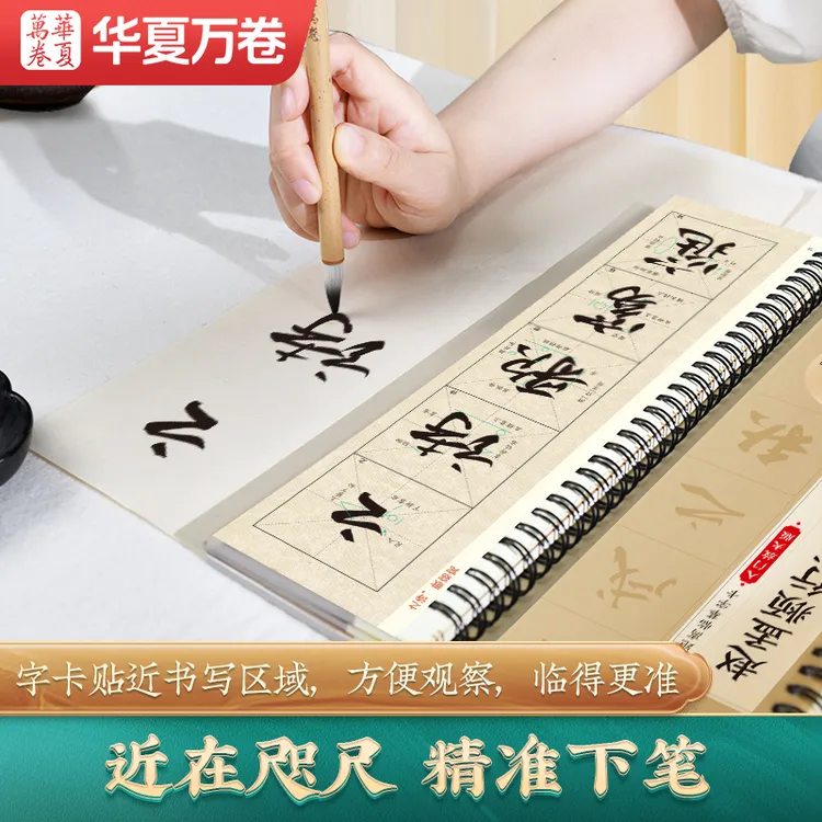 赵孟頫行书前后赤壁赋毛笔字帖近距离临摹入门放大视频教程190页