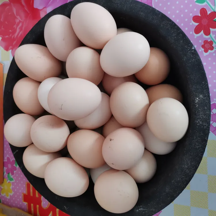 农村散养笨鸡蛋正宗柴鸡蛋农家散养土鸡蛋粉皮蛋50枚5斤左右