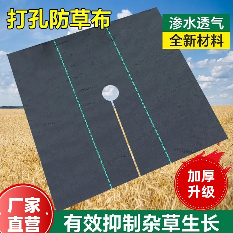 防草布除草布切片农业打孔盖草布耐用遮草布果园果树专用防草地布