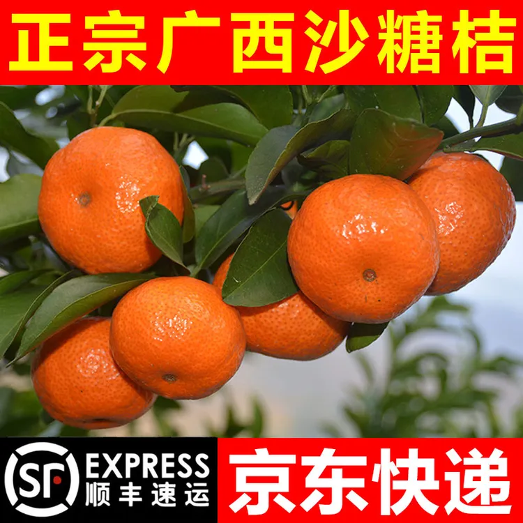 【京东顺丰】正宗广西砂糖橘沙糖桔当季新鲜水果现摘现发精选果