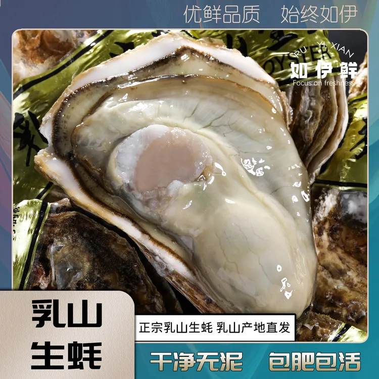 鲜活乳山生蚝 包肥包活 干净无泥 5斤/箱包邮