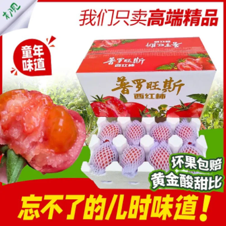 【当天采摘】陕西泾阳普罗旺斯水果西红柿自然成熟生吃番茄洋柿子