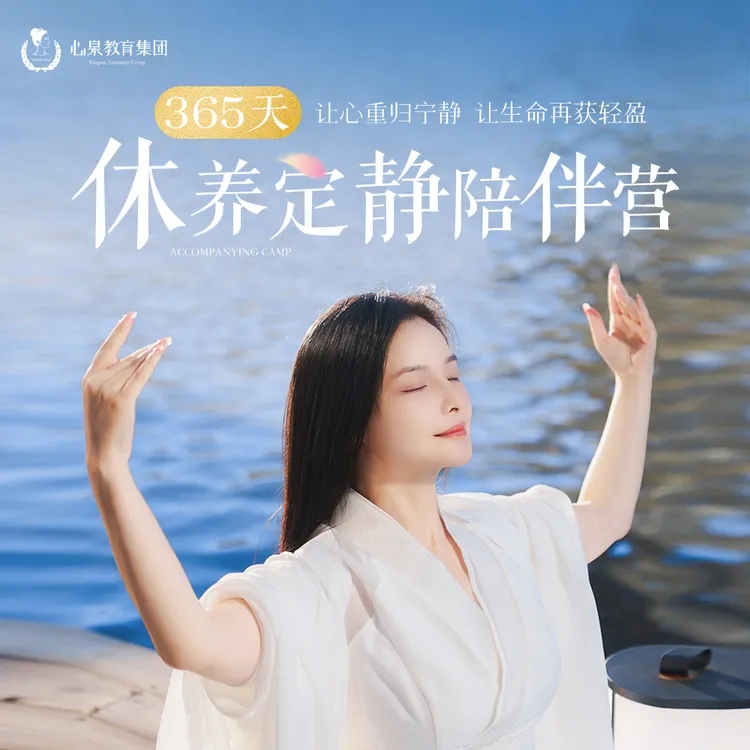 365天修养定静陪伴营 沉浸式高质量助眠 卡点清理 养生疗愈
