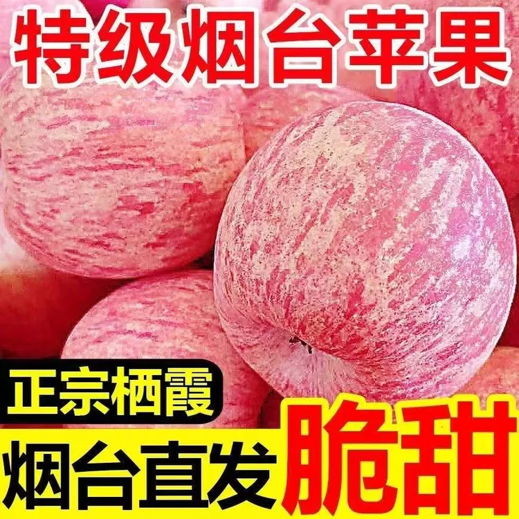 2025当季山东烟台栖霞红富士脆甜多汁产地直发应季水果