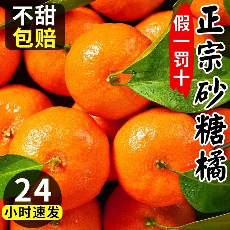 正宗广西砂糖橘水果新鲜当季橘子整箱斤纯甜金秋沙糖桔非无籽纯甜