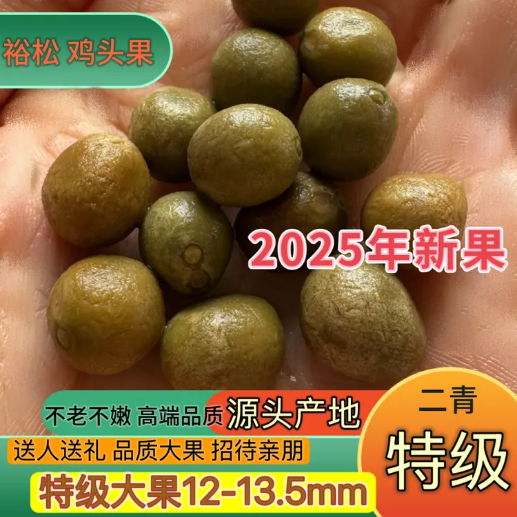 2025新果特级大果打磨高品质鸡头米安徽特产裕松鸡头果带壳芡实