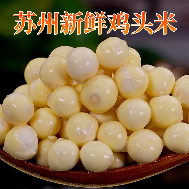 【中颗粒】正宗2025苏州新鲜鸡头米现货新鲜采摘芡实手剥