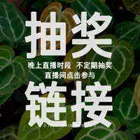 【抽奖专用链接】0415 300g水苔