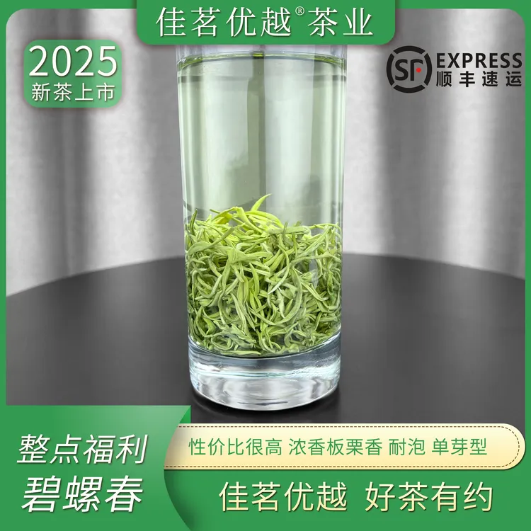 【2025新茶】整点福利 碧螺春绿茶小芽明前春茶茶叶板栗香浓香耐泡