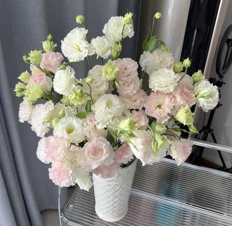 【冰淇淋桔梗800g】全店拍任意两单以上鲜花升级顺丰