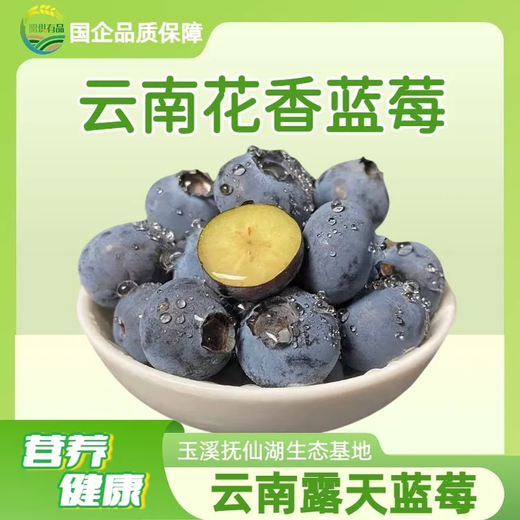 昭供有品甄选当季新鲜现摘基地直发花香蓝莓健康美味富含花青素