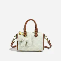 2025新款经典女士波士顿枕头包时尚百搭手提斜挎包质感复古