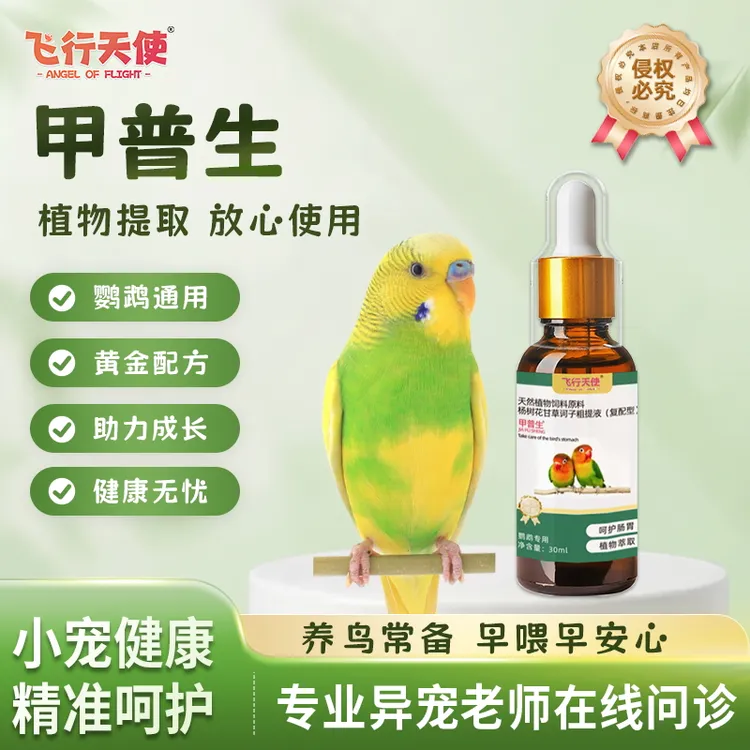 飞行天使甲普生鹦鹉排便问题玄凤消化护理小太阳日常养护鹦鹉通用