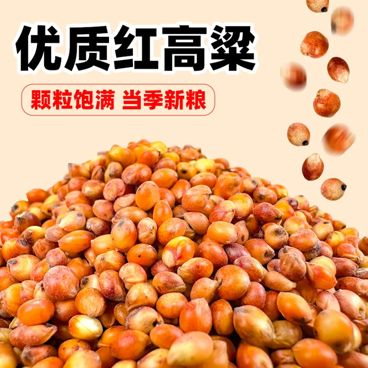 红高粱喂鸽子粮食去壳带皮鸟食信鸽观赏鸽肉鸽幼鸽成鸽粮鹦鹉饲料
